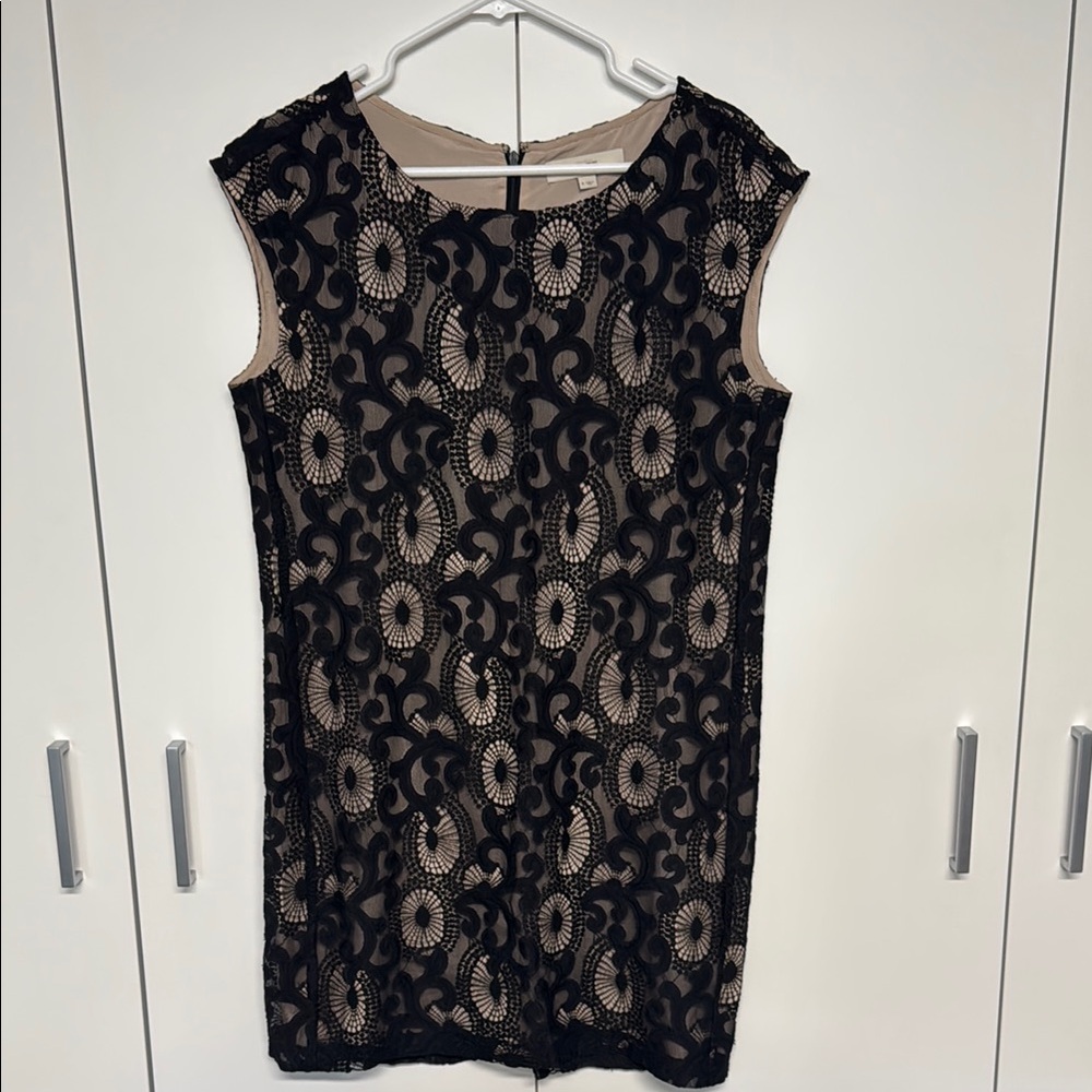 LOFT Black and Tan Sheath Mini Dress